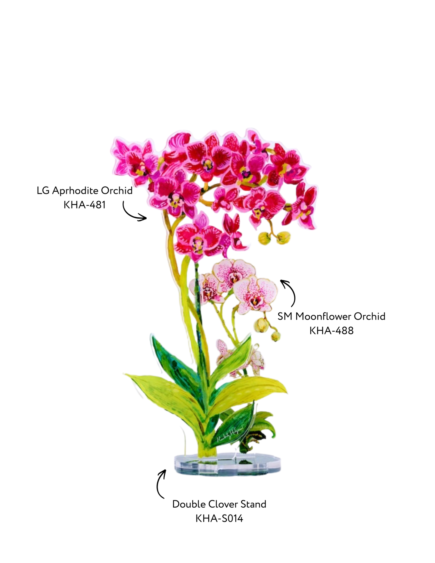 Aphrodite Arrangement | Floral Arrangement Bundle