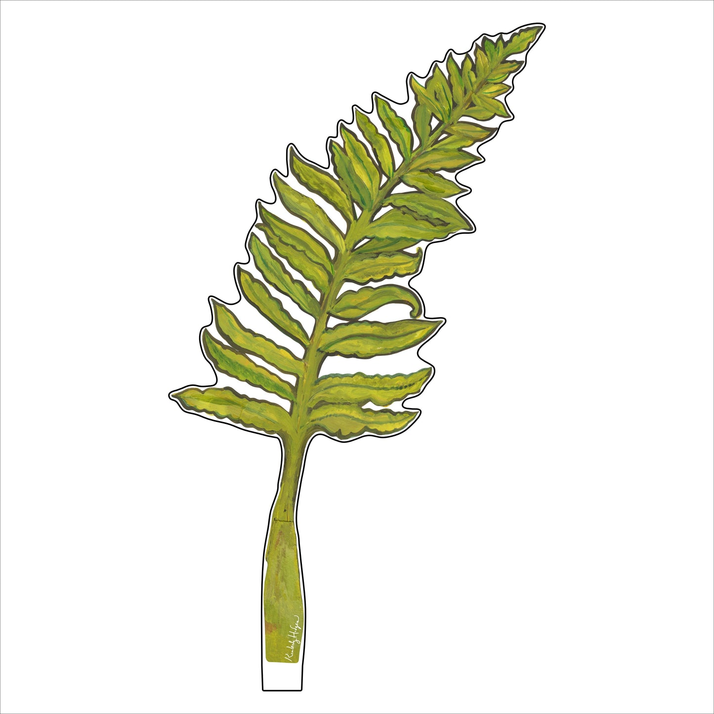 Classic Fern LG KHA-009 | 0.25in. Acrylic | Single