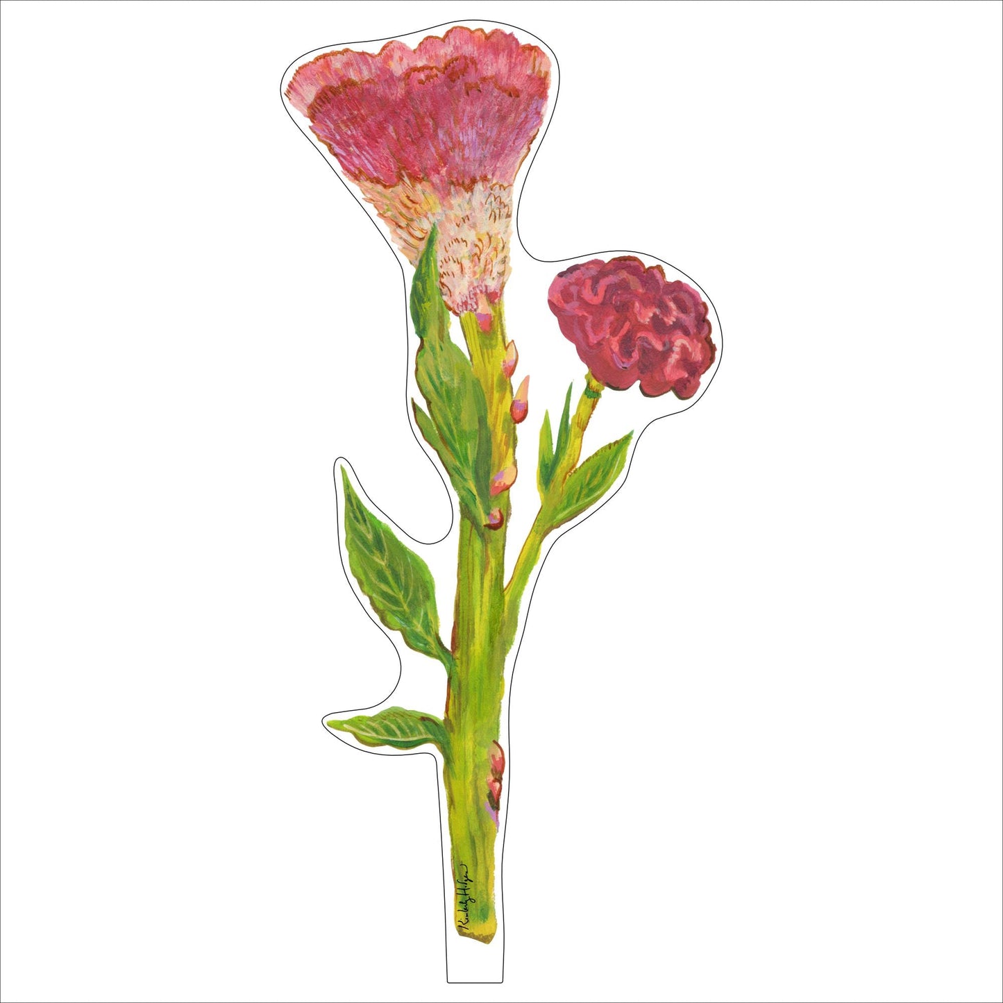 Cockscomb | 1/4"in. Acrylic Floral