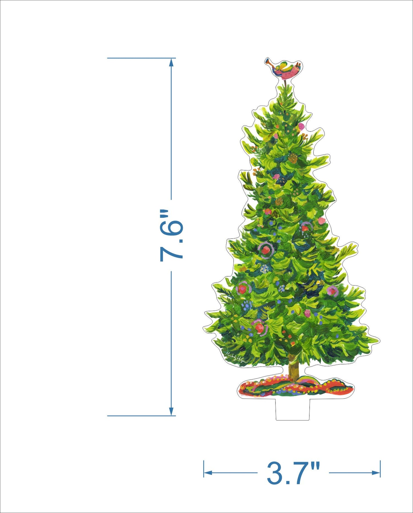Engleman Spruce
