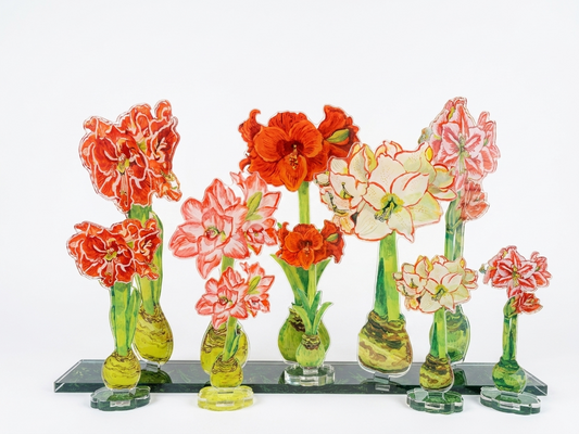 Ruffle Amaryllis | 0.25in. Acrylic Floral
