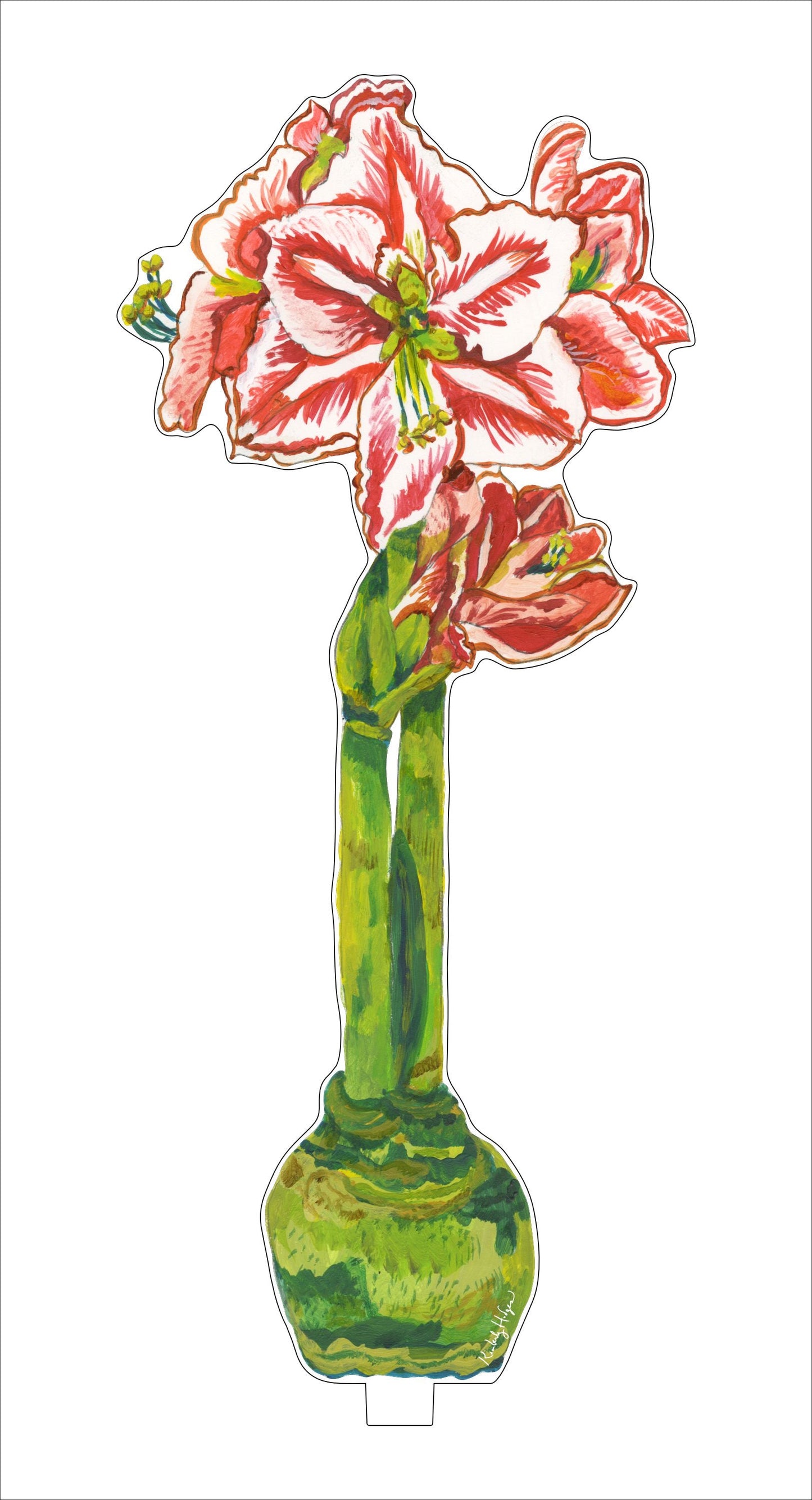 Red Orange Amaryllis Acrylic Floral Decoration