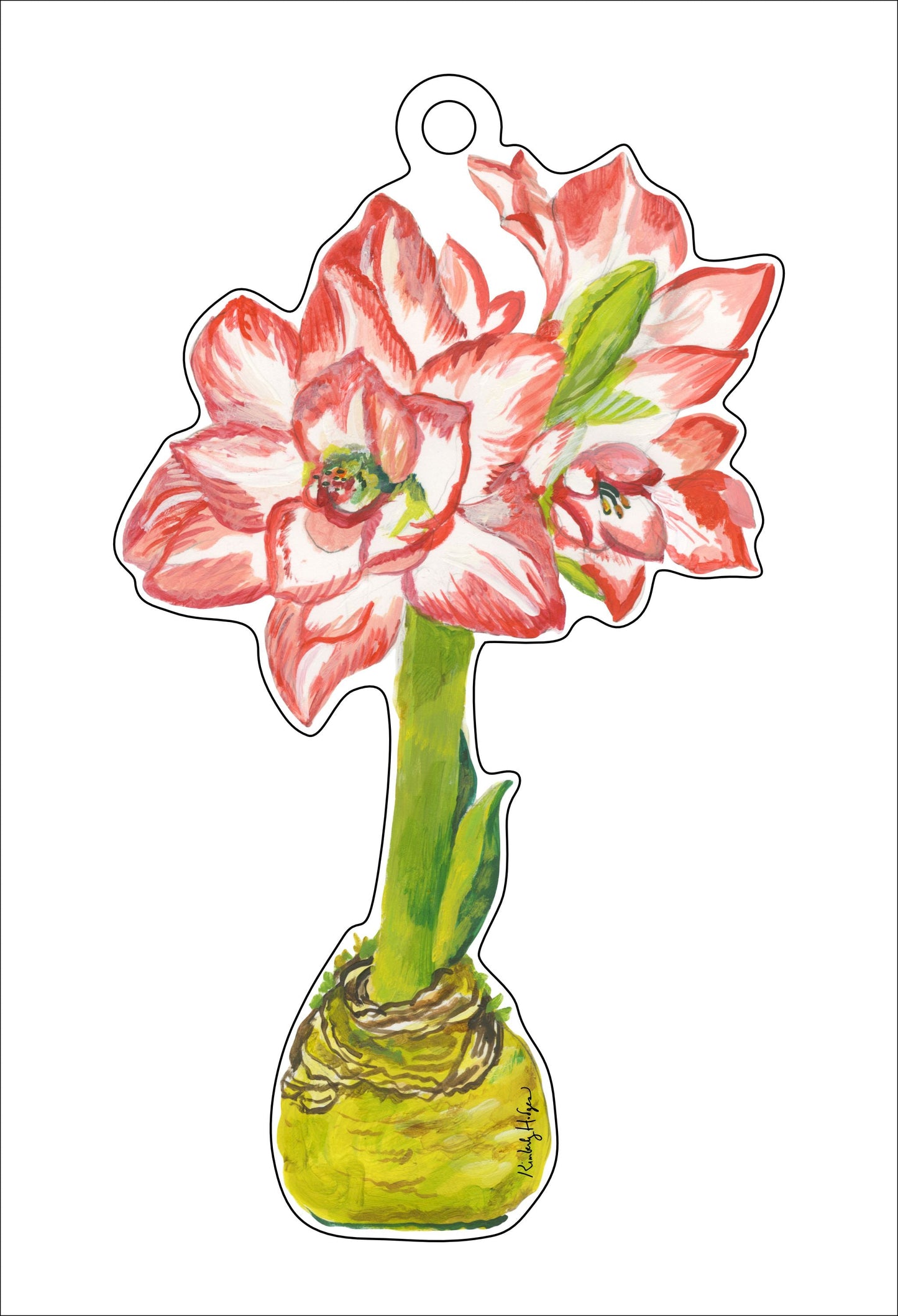 Blossom Peacock Amaryllis Ornament KHA-160 | 0.25in. Acrylic