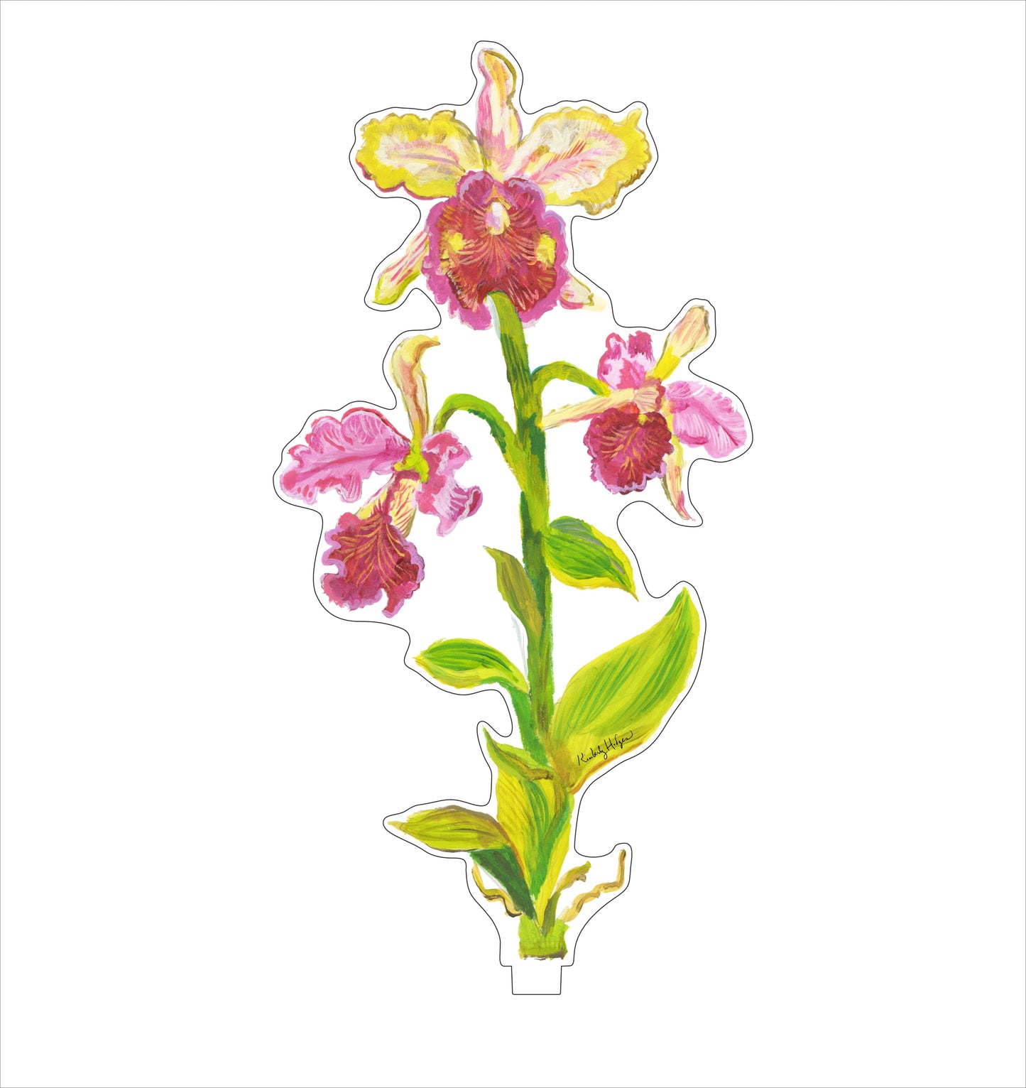 Cattleya Orchid | 0.25in. Acrylic Floral