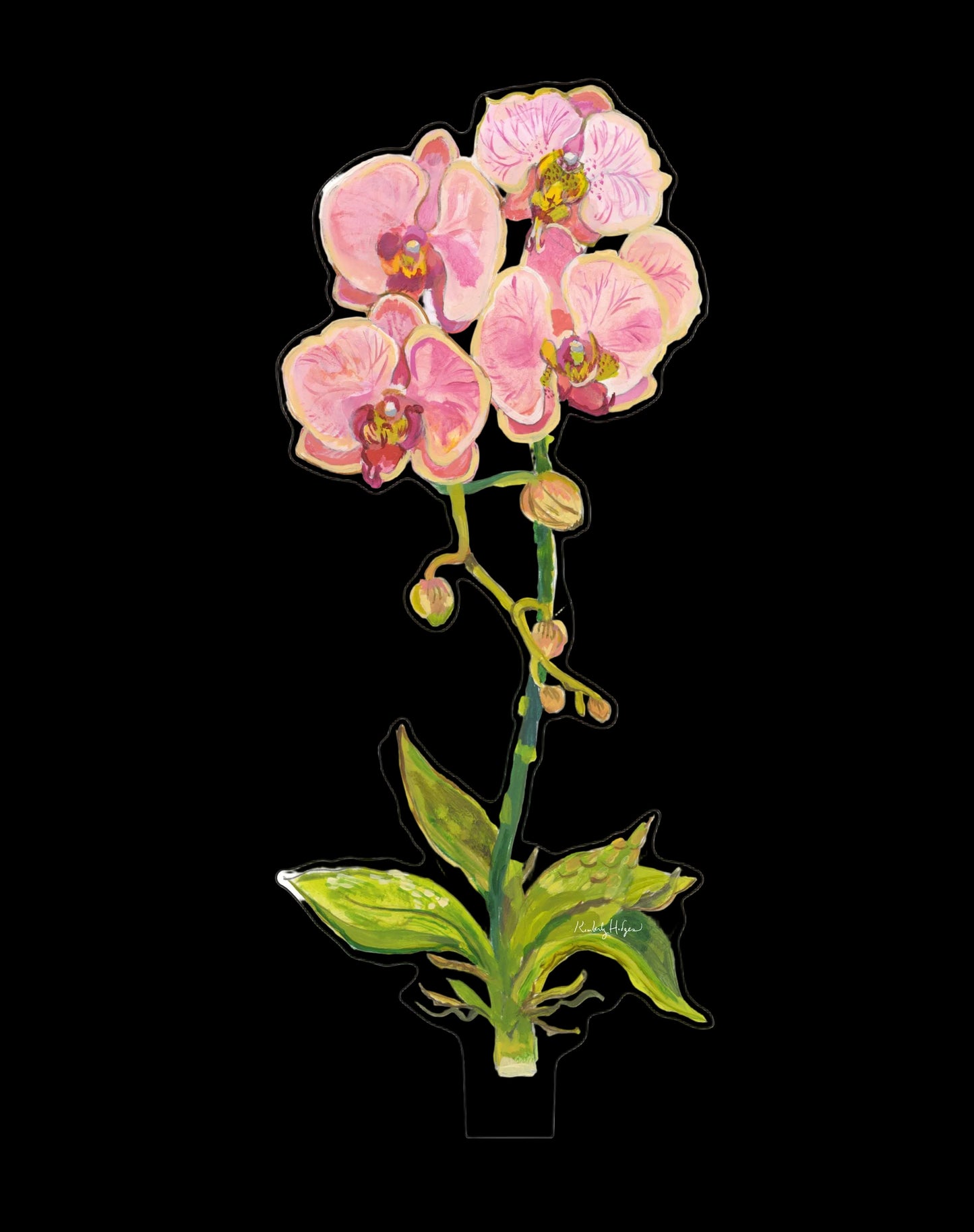 Coral Orchid | 0.25in. Acrylic Floral