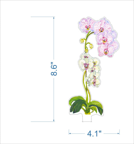Pink Stripe Orchid | 0.25in. Acrylic Floral