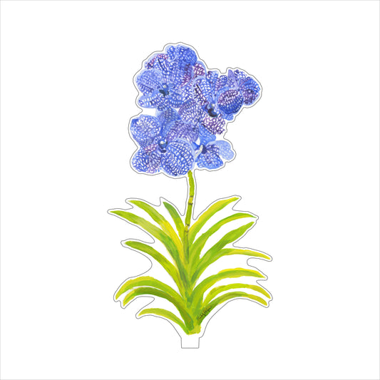 Vanda Orchid | 0.25in. Acrylic Floral