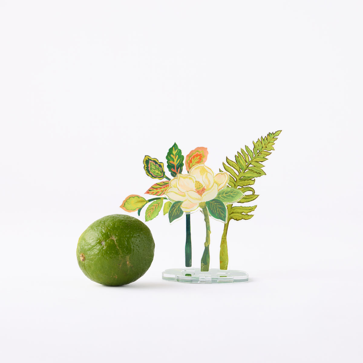 Magnolia Petit Bouquet Collection 8