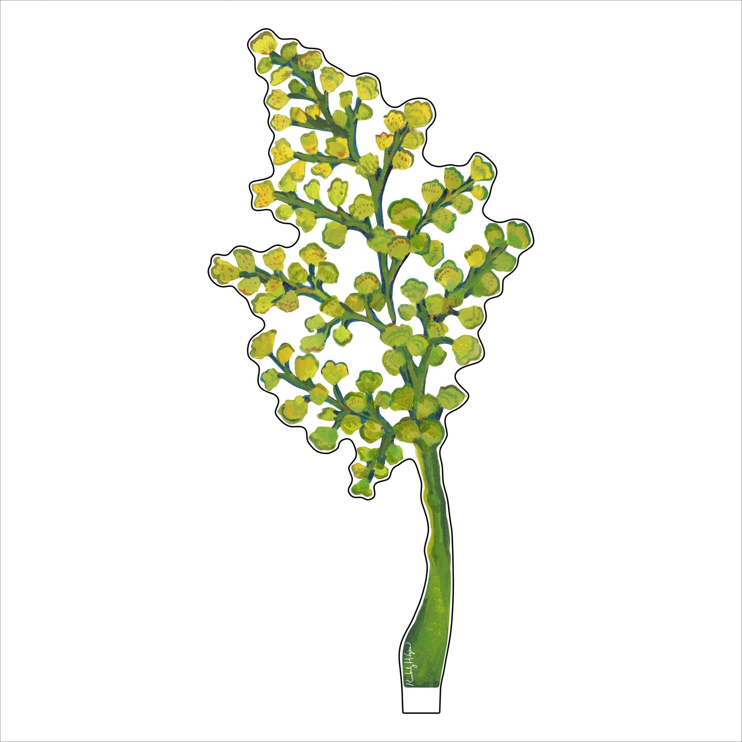 Maidenhair Fern SM KHA-038 | 0.25in. Acrylic | Single