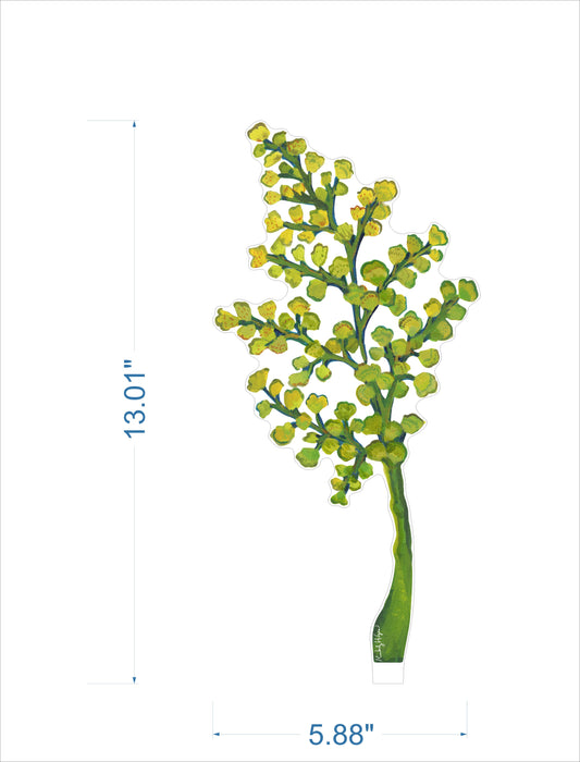 Maidenhair Fern | 0.25in. Acrylic Floral