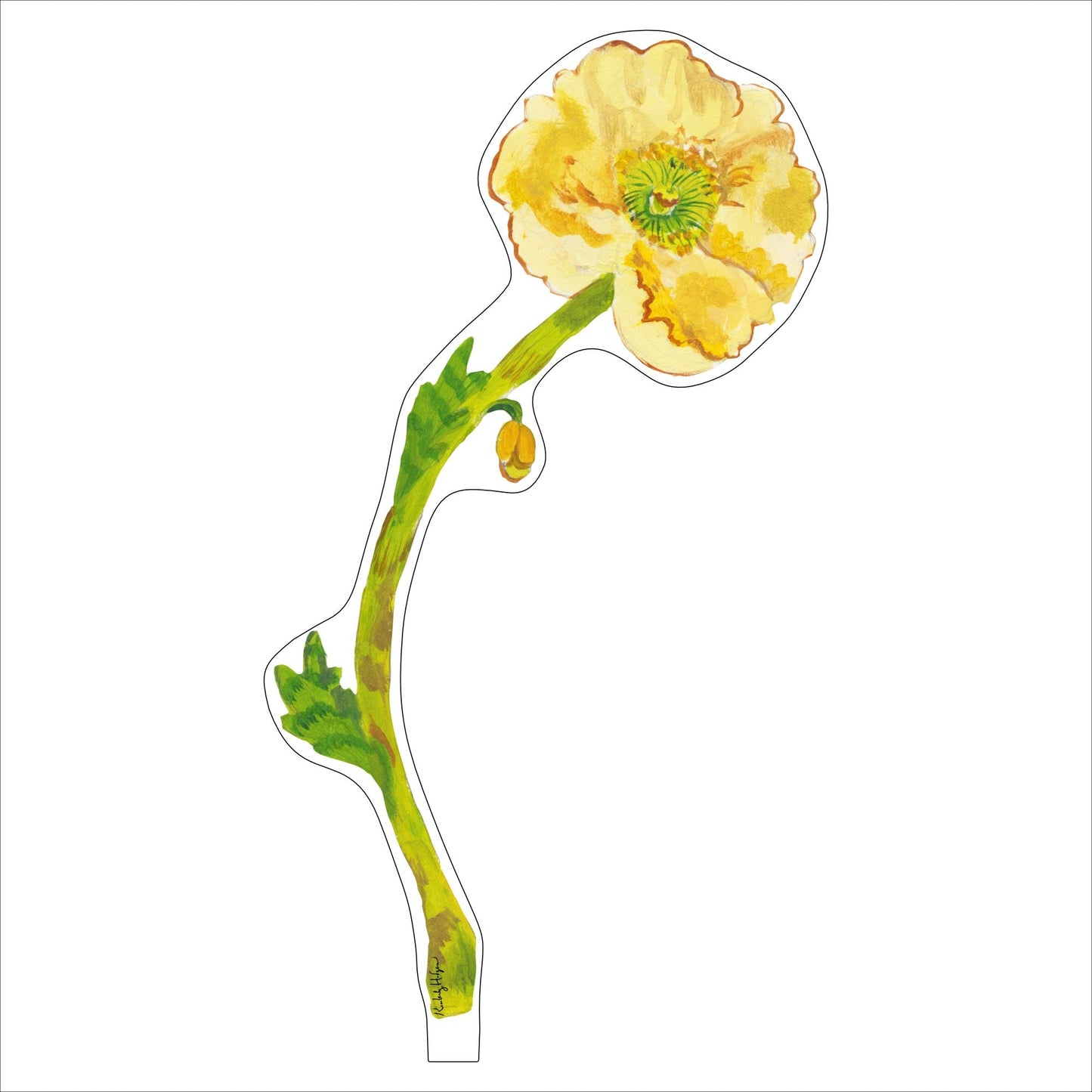 Pale Yellow Iceland Poppy | 1/4"in. Acrylic Floral