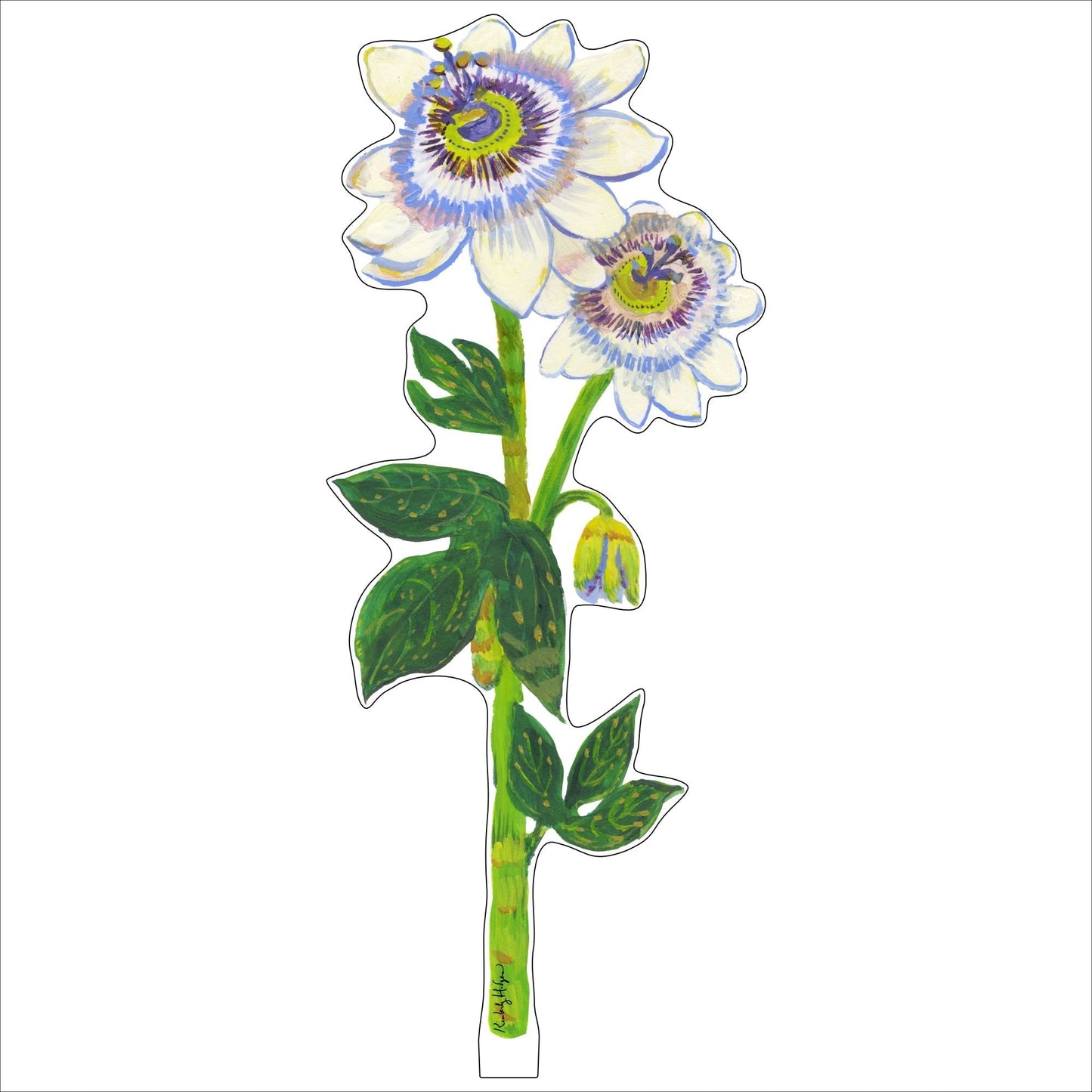 Passion Flowers LG | 0.25in. Acrylic | Single
