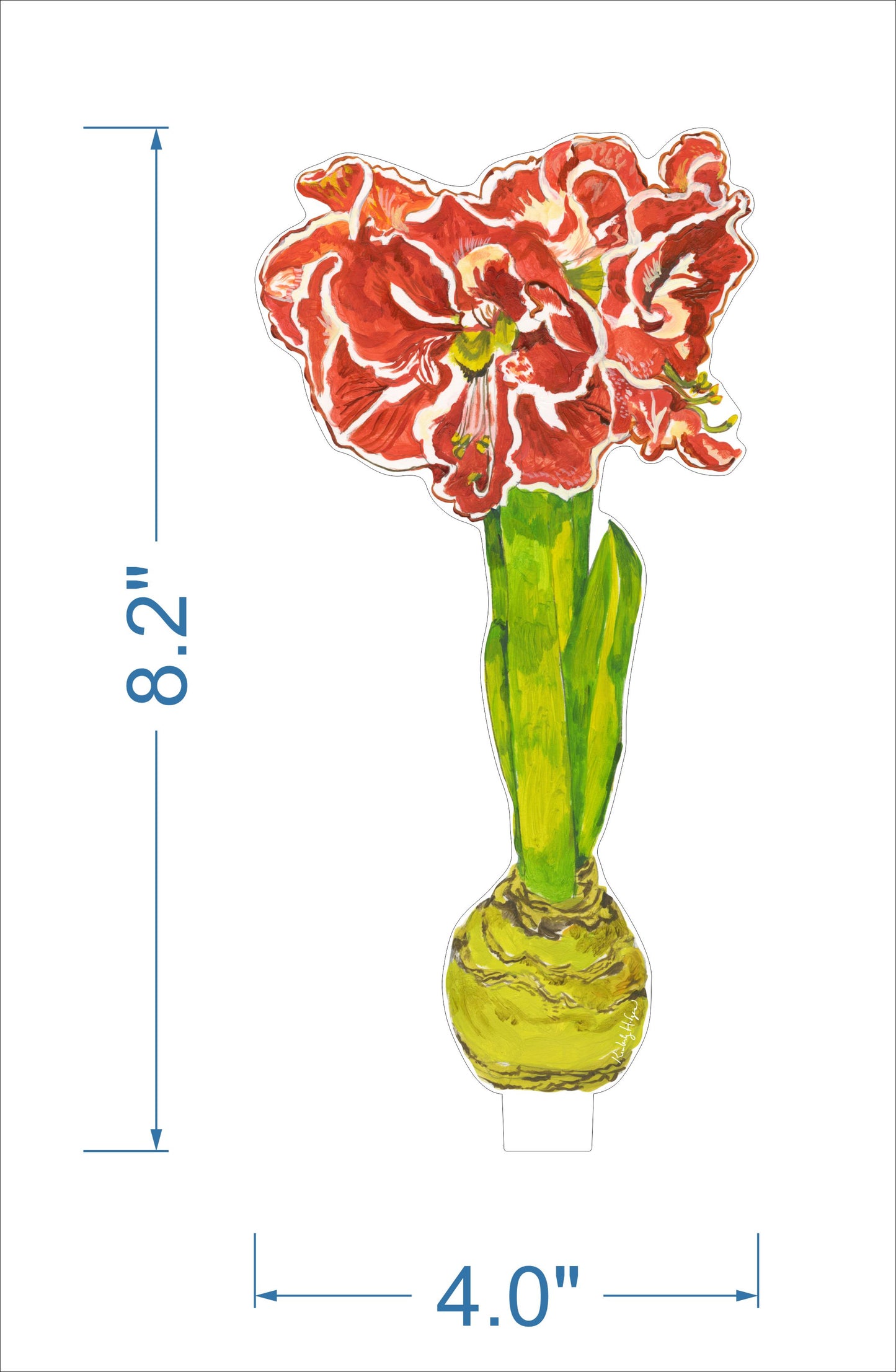 Ruffle Amaryllis | 0.25in. Acrylic Floral