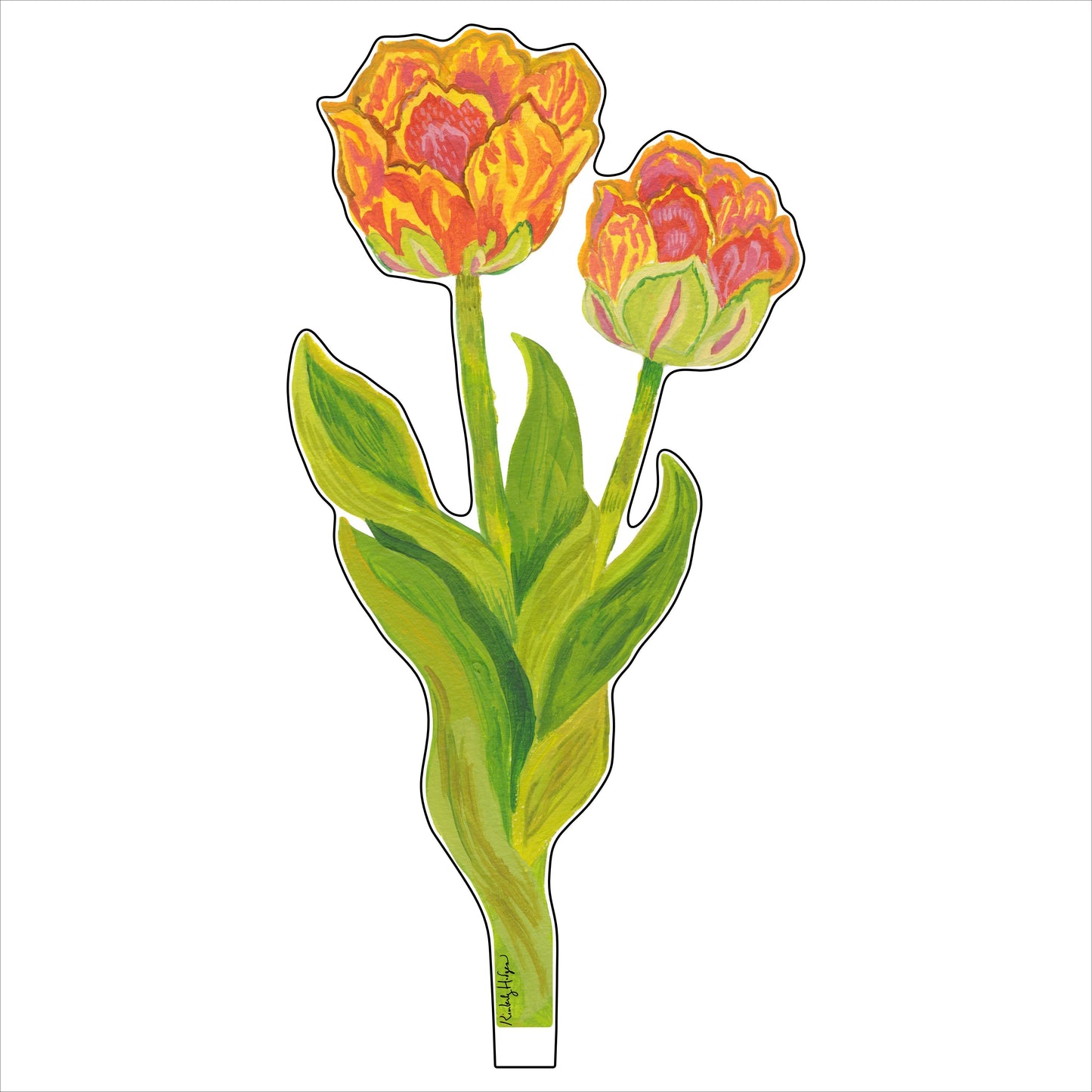 Tulips LG KHA-075 | 0.25in. Acrylic | Single