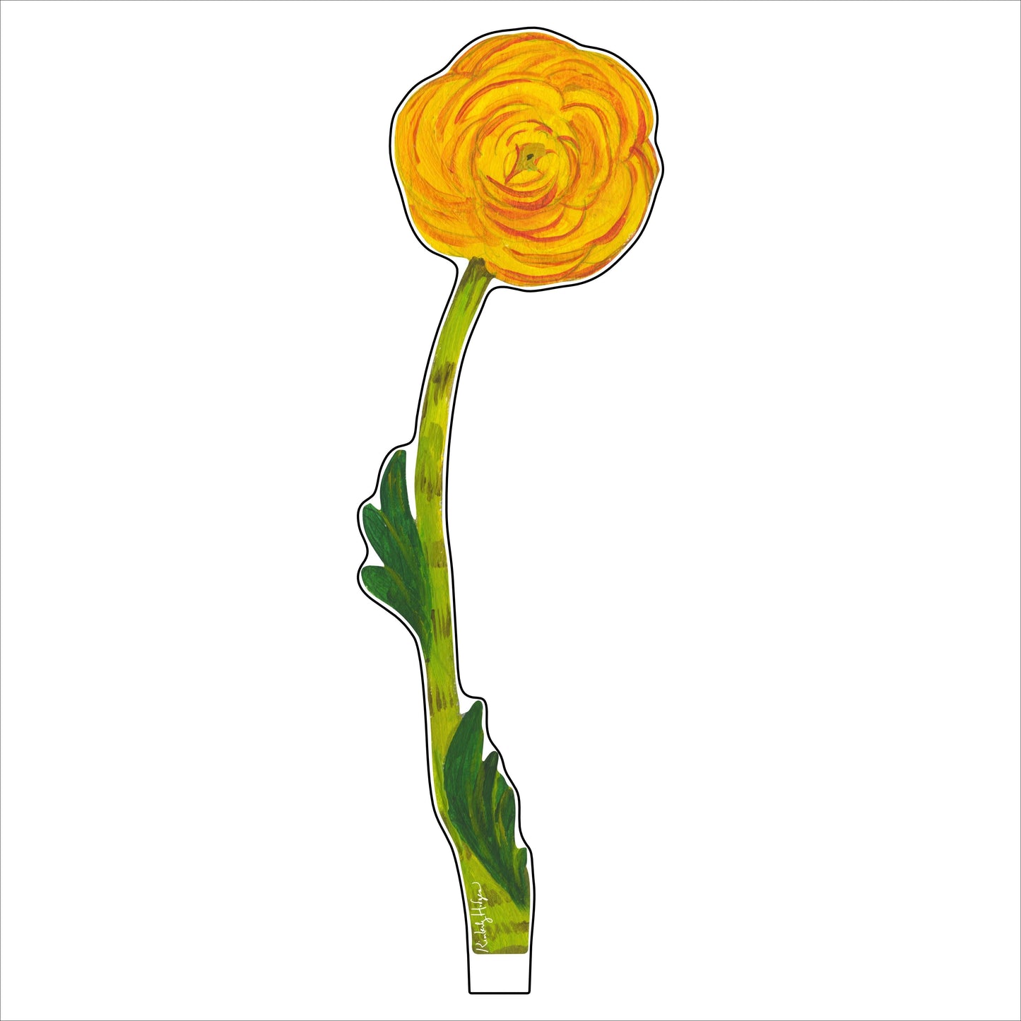 Yellow Ranunculus SM KHA-078 | 0.25in. Acrylic | Single