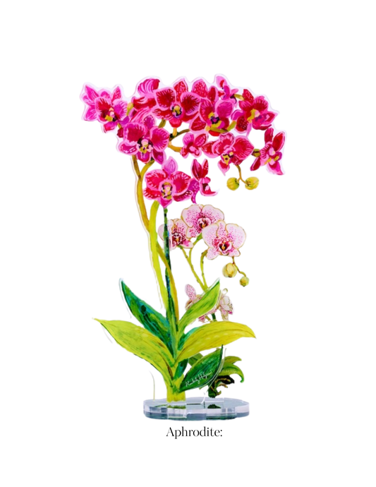 KHA-753 Aphrodite Arrangement | Floral Arrangement Bundle