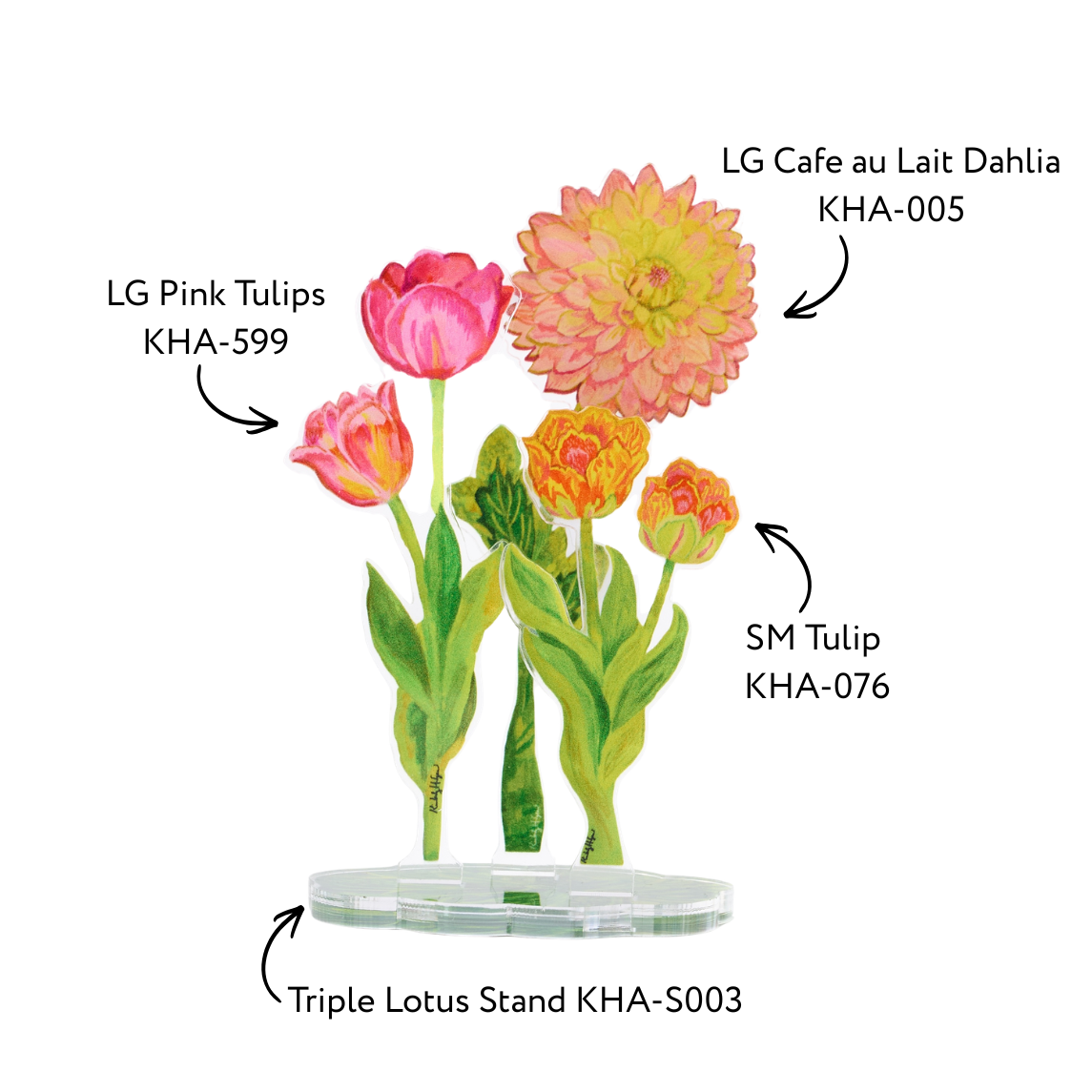 Dahlia & Tulips Arrangement | Floral Arrangement Bundle