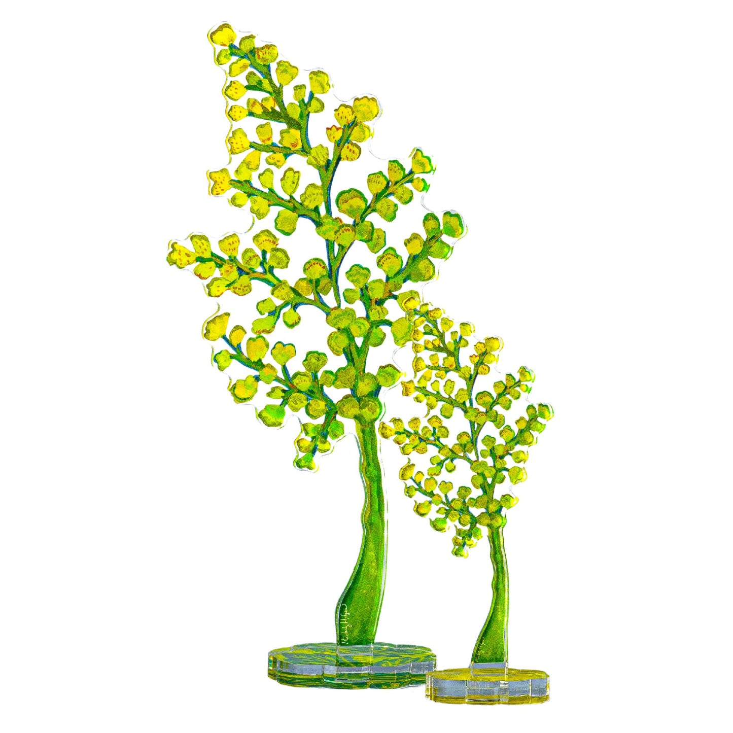 Maidenhair Fern | 1/4"in. Acrylic Floral