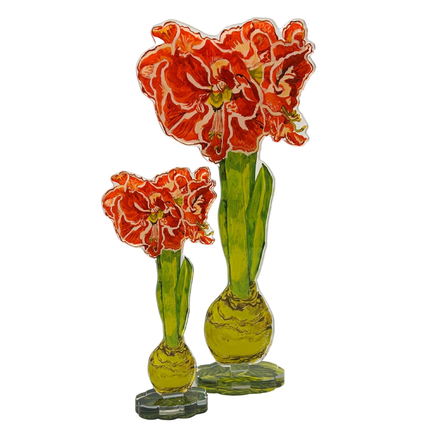 Red Orange Amaryllis | 0.25in. Acrylic Floral