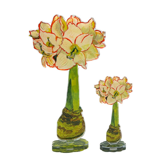 White Amaryllis | 0.25in. Acrylic Floral