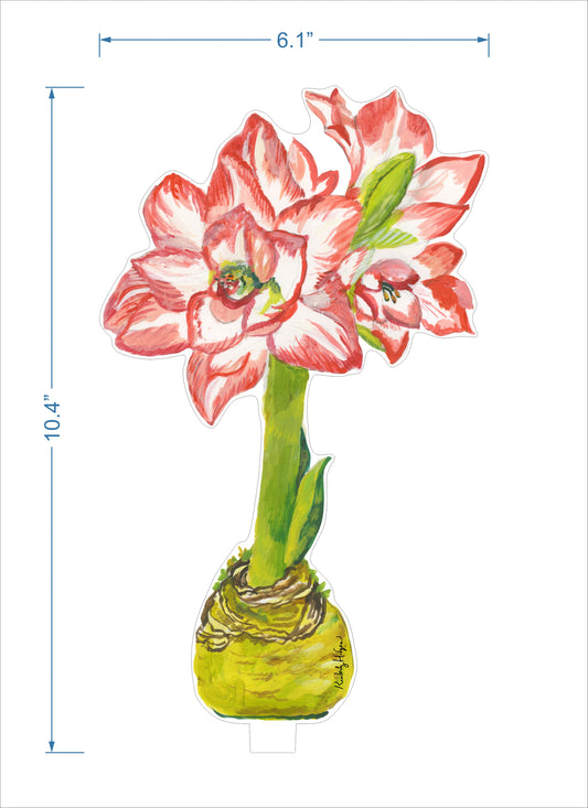 Blossom Peacock Amaryllis | 0.25in. Acrylic Floral
