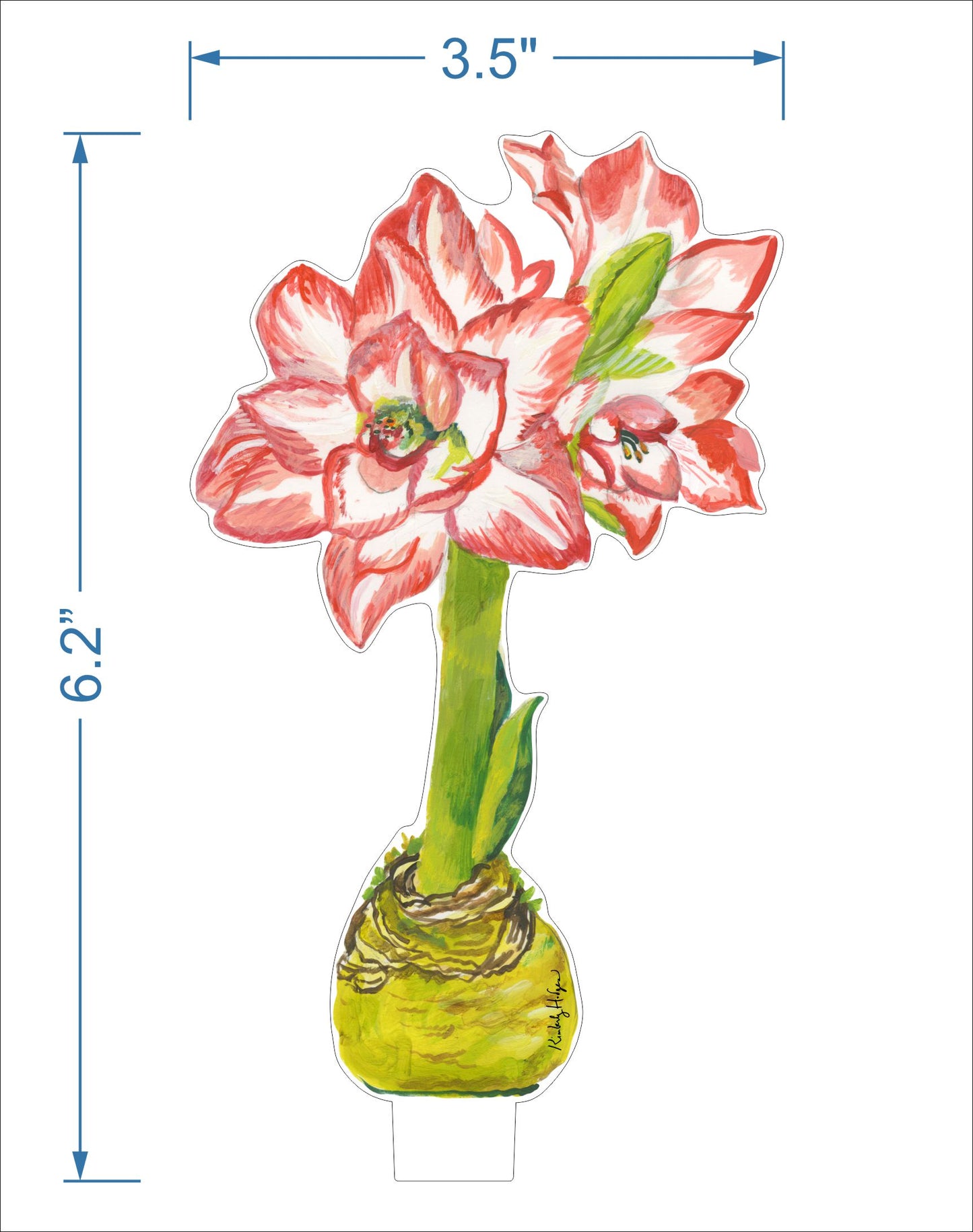Blossom Peacock Amaryllis | 0.25in. Acrylic Floral