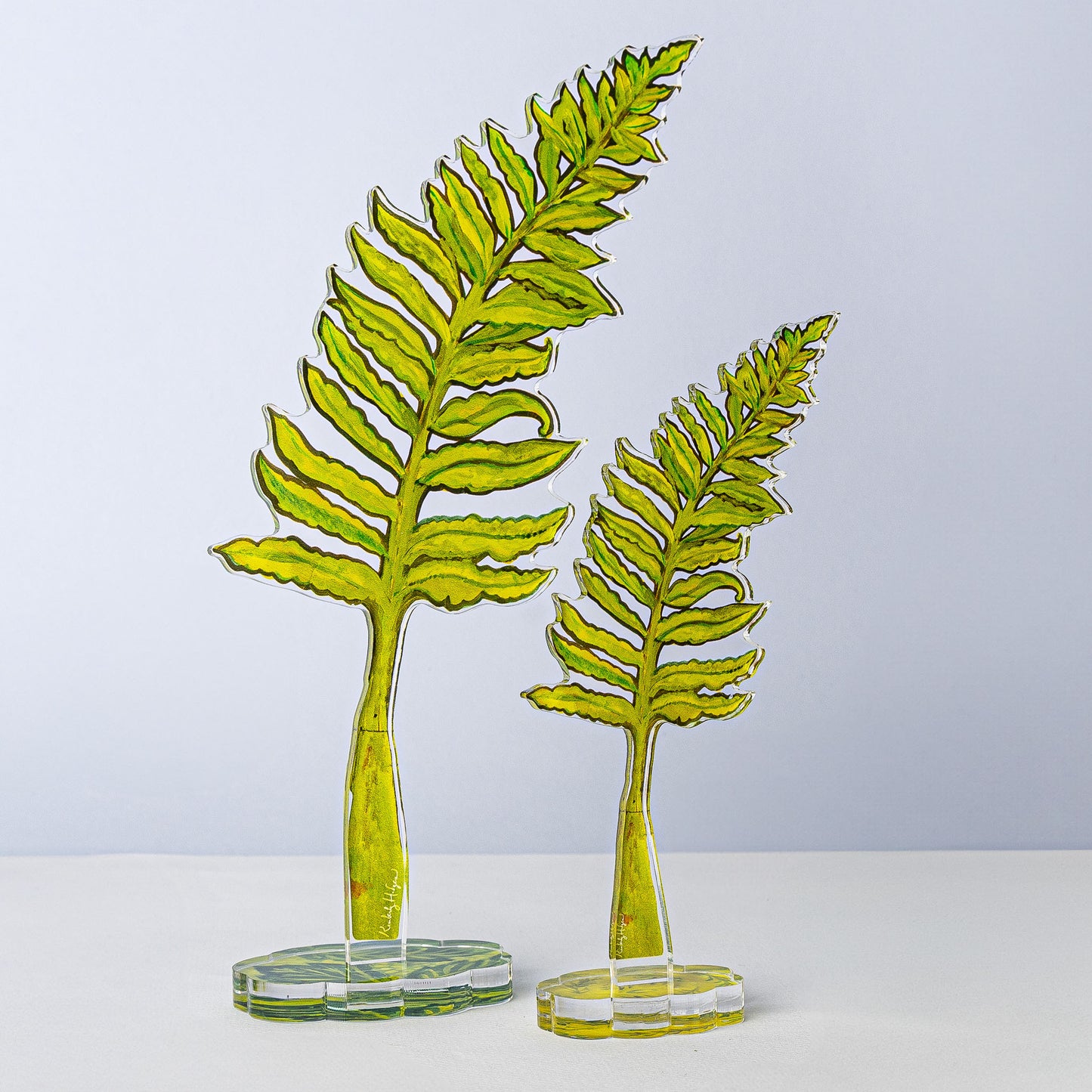 Classic Fern | 0.25in. Acrylic Floral