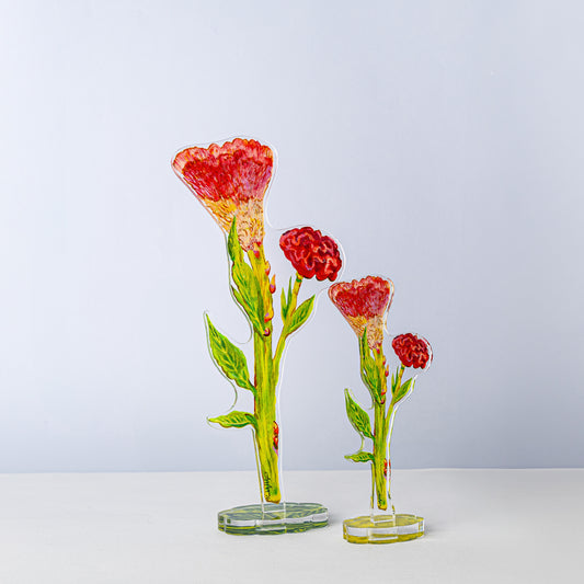 Cockscomb | 0.25in. Acrylic Floral