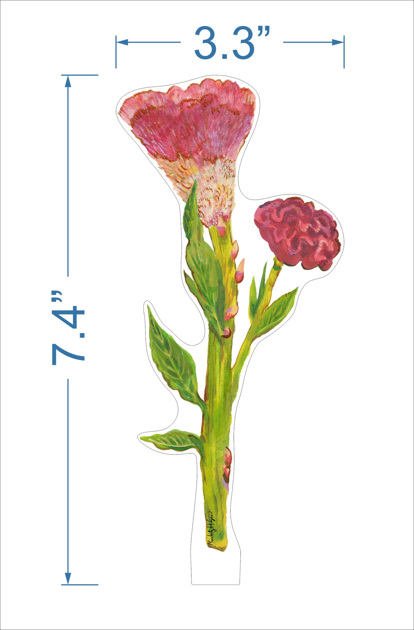 Cockscomb | 0.25in. Acrylic Floral