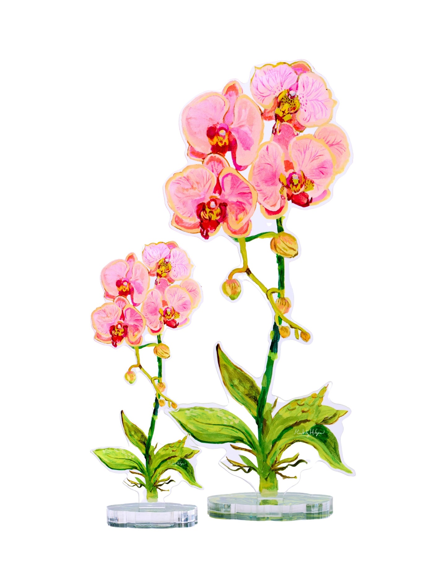 Coral Orchid | 0.25in. Acrylic Floral