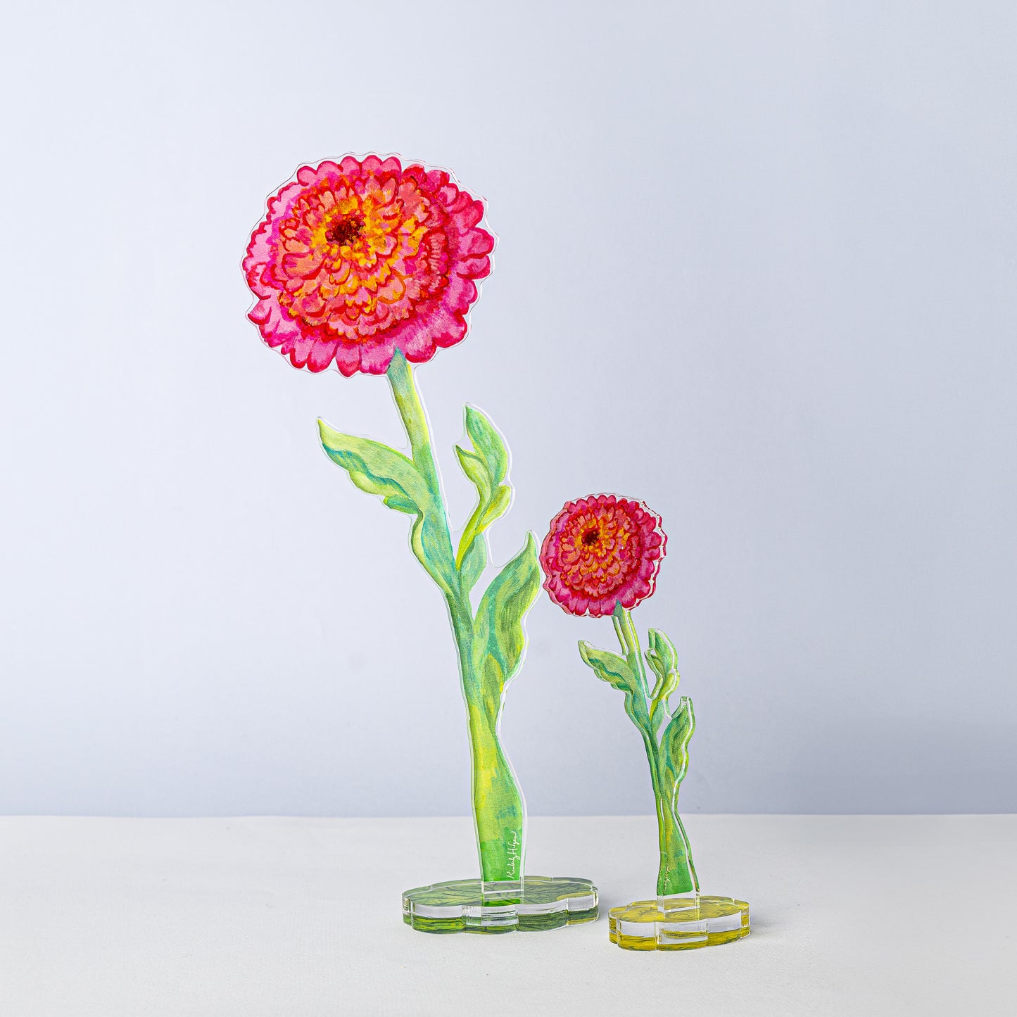Cupcake Zinnia | 0.25in. Acrylic Floral