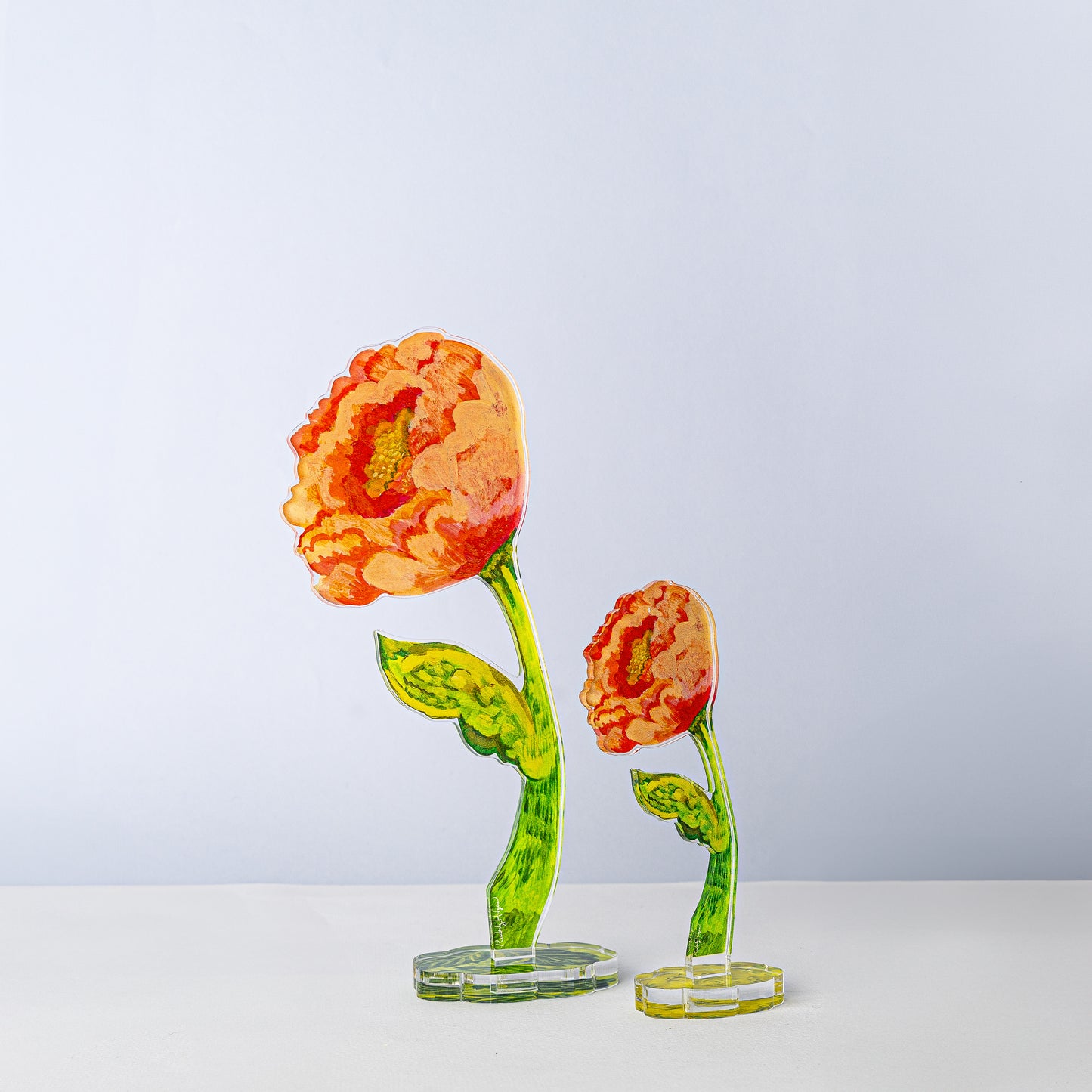 Curved Peony | 0.25in. Acrylic Floral