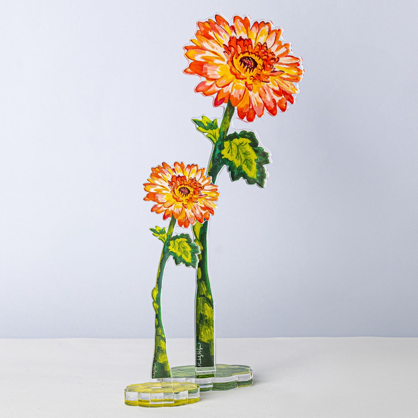 Gerbera Daisy | 1/4"in. Acrylic Floral