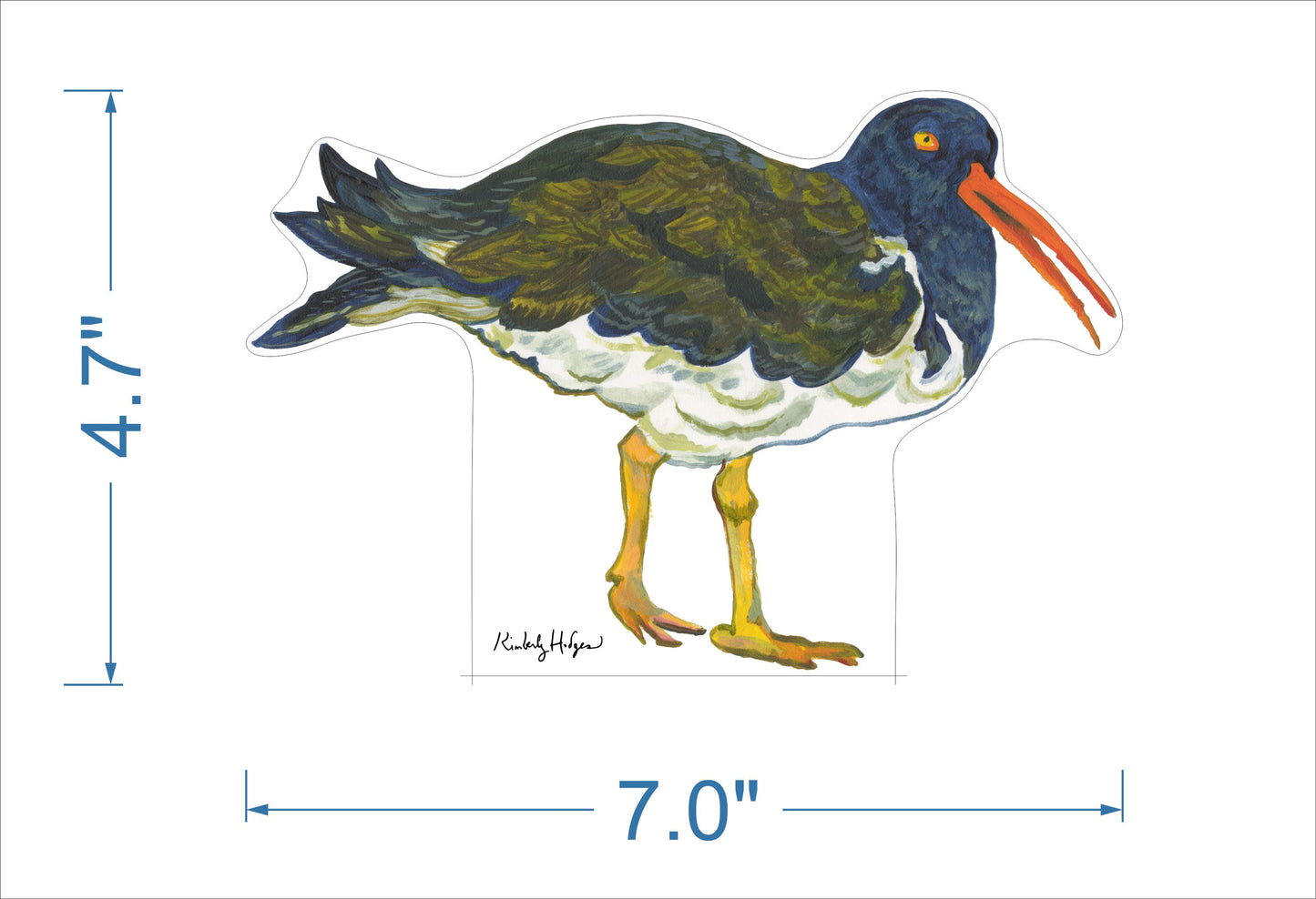 Oyster Catcher Bird | 0.75in. Acrylic Large