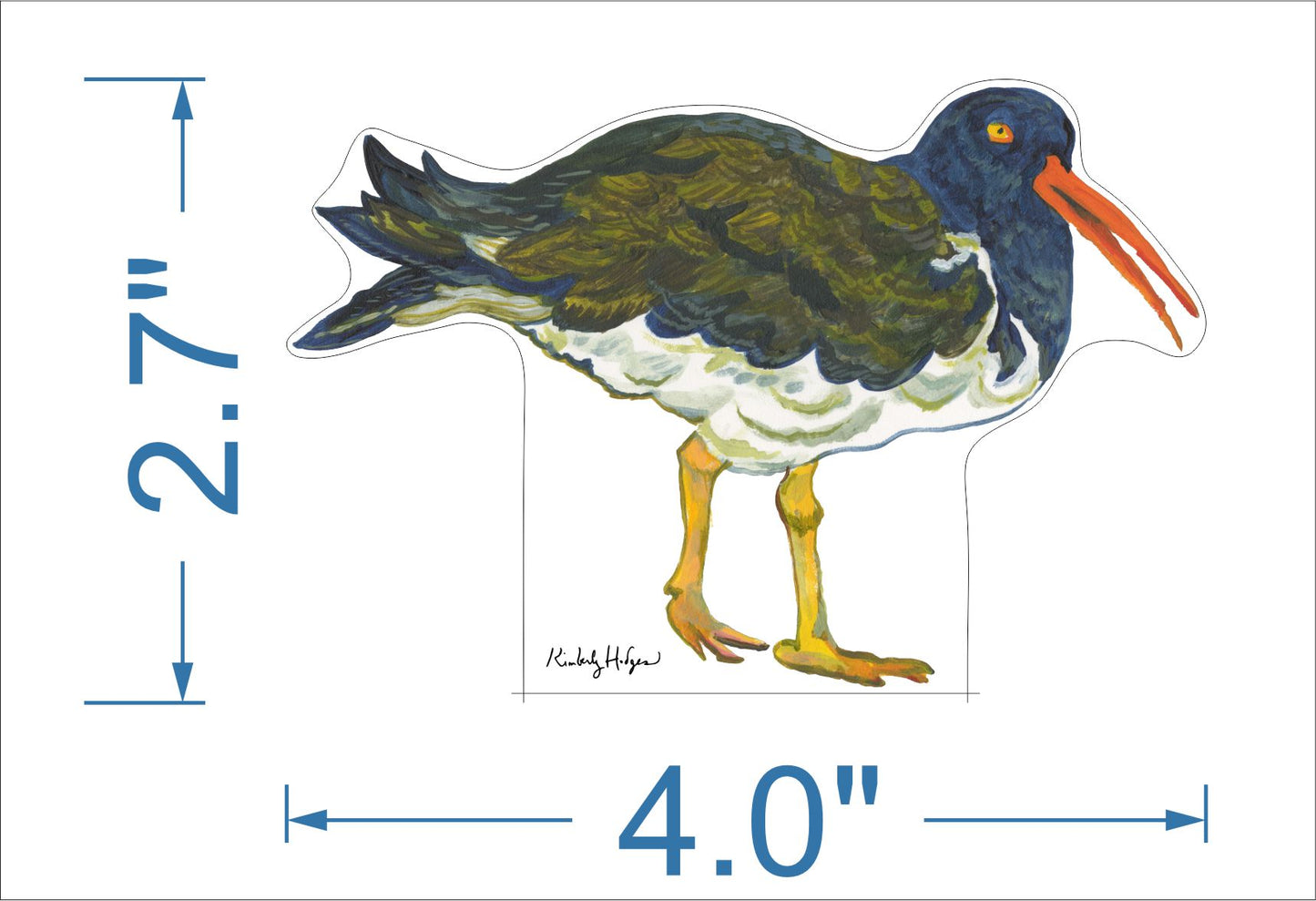 Oyster Catcher Bird Mini | 0.50in. Acrylic Mini