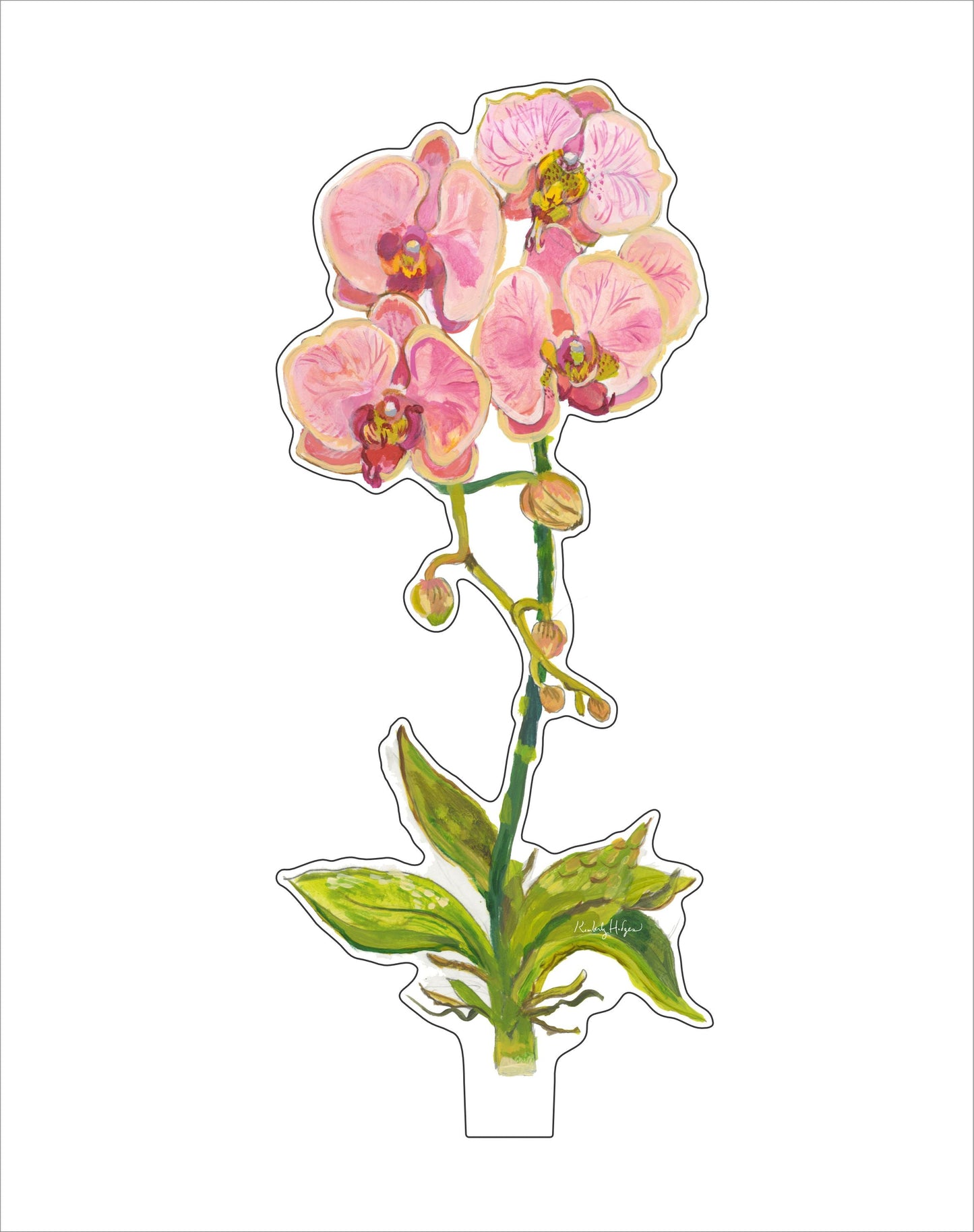 Coral Orchid | 0.25in. Acrylic Floral