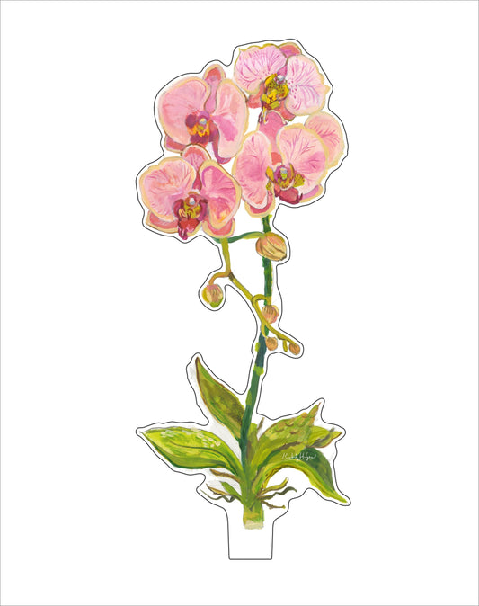 Coral Orchid | 0.25in. Acrylic Floral