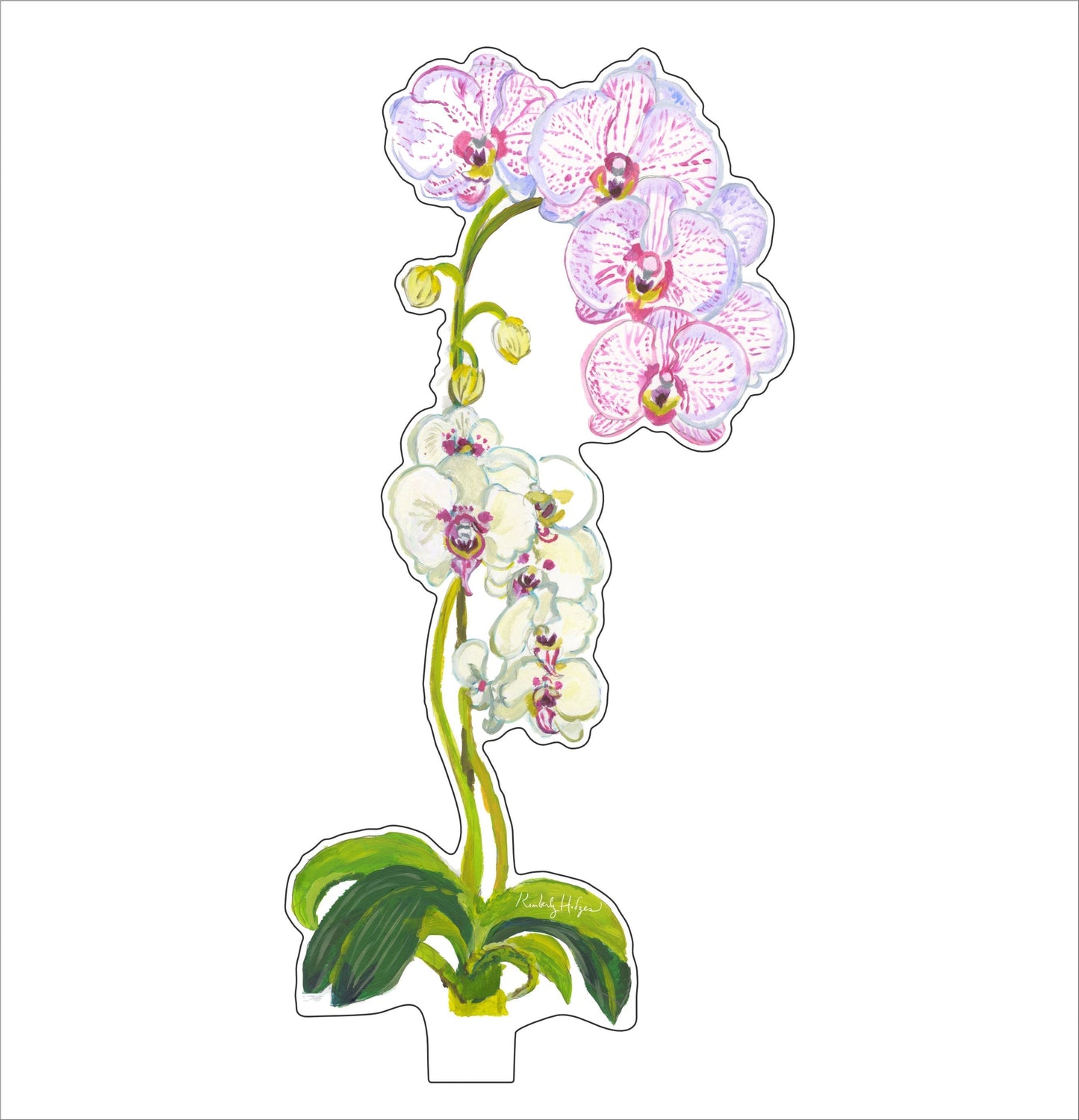 Pink Stripe Orchid | 0.25in. Acrylic Floral