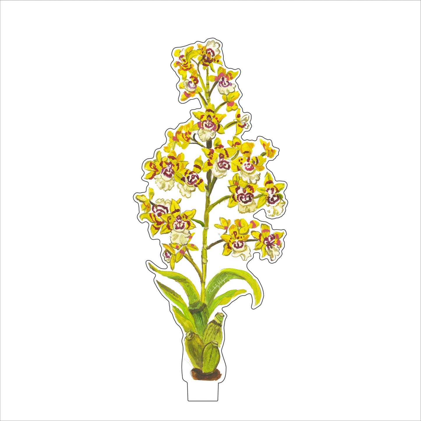 Yellow King Orchid | 0.25in. Acrylic Floral