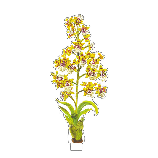 Yellow King Orchid | 0.25in. Acrylic Floral