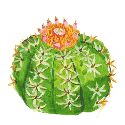 Turk's Cap Cactus | 0.25in. Acrylic Floral