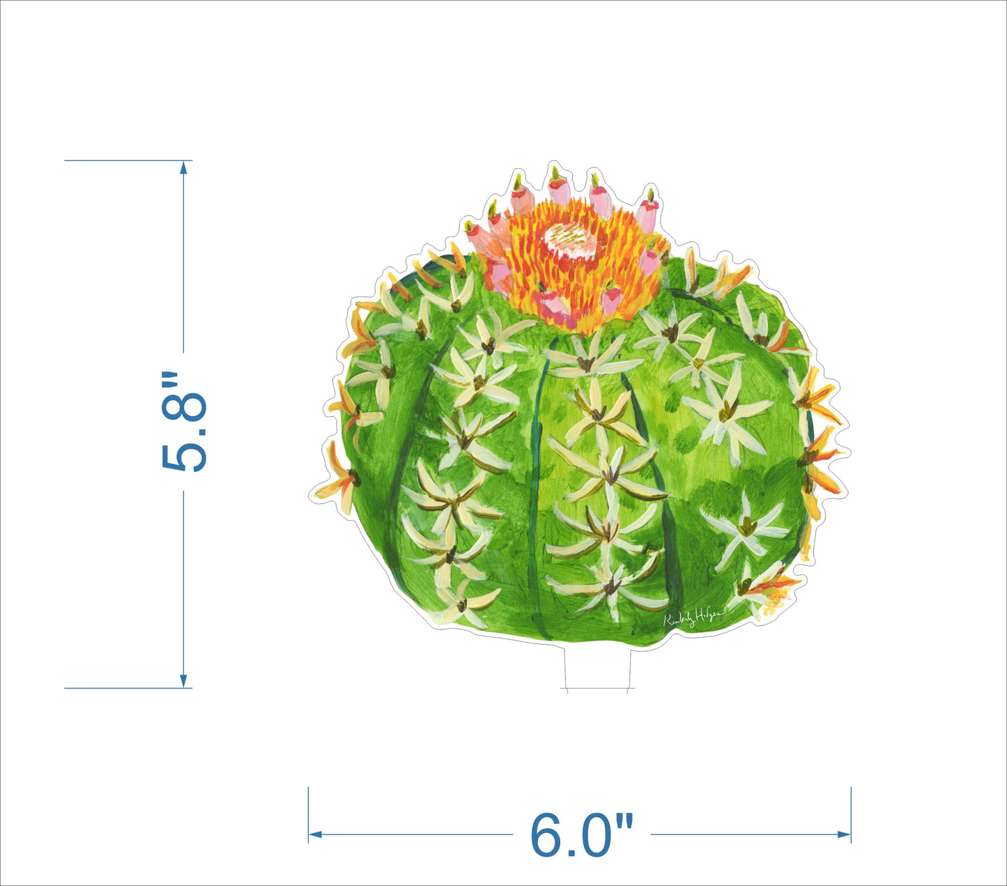 Turk's Cap Cactus | 0.25in. Acrylic Floral