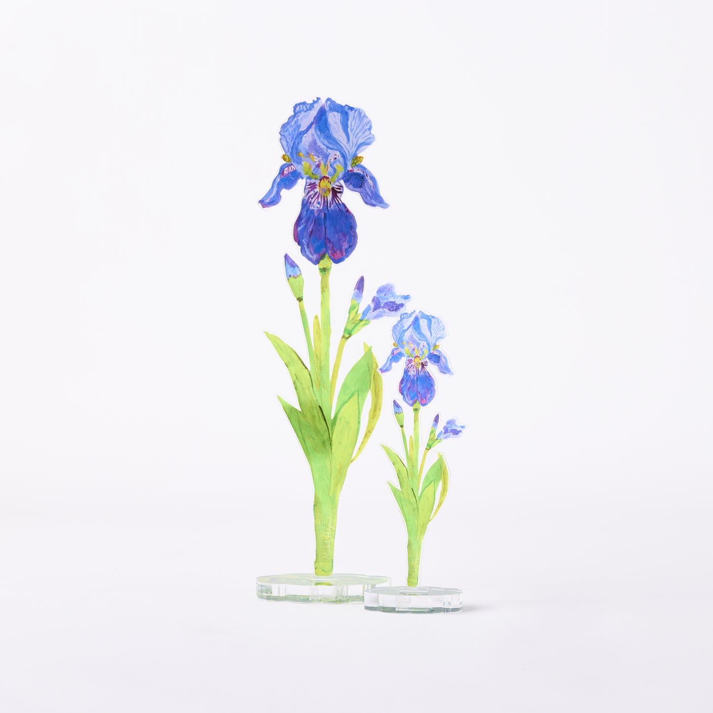 Iris | 0.25in. Acrylic Floral