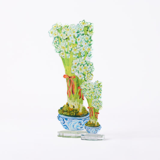 Paperwhites | 0.25in. Acrylic Floral