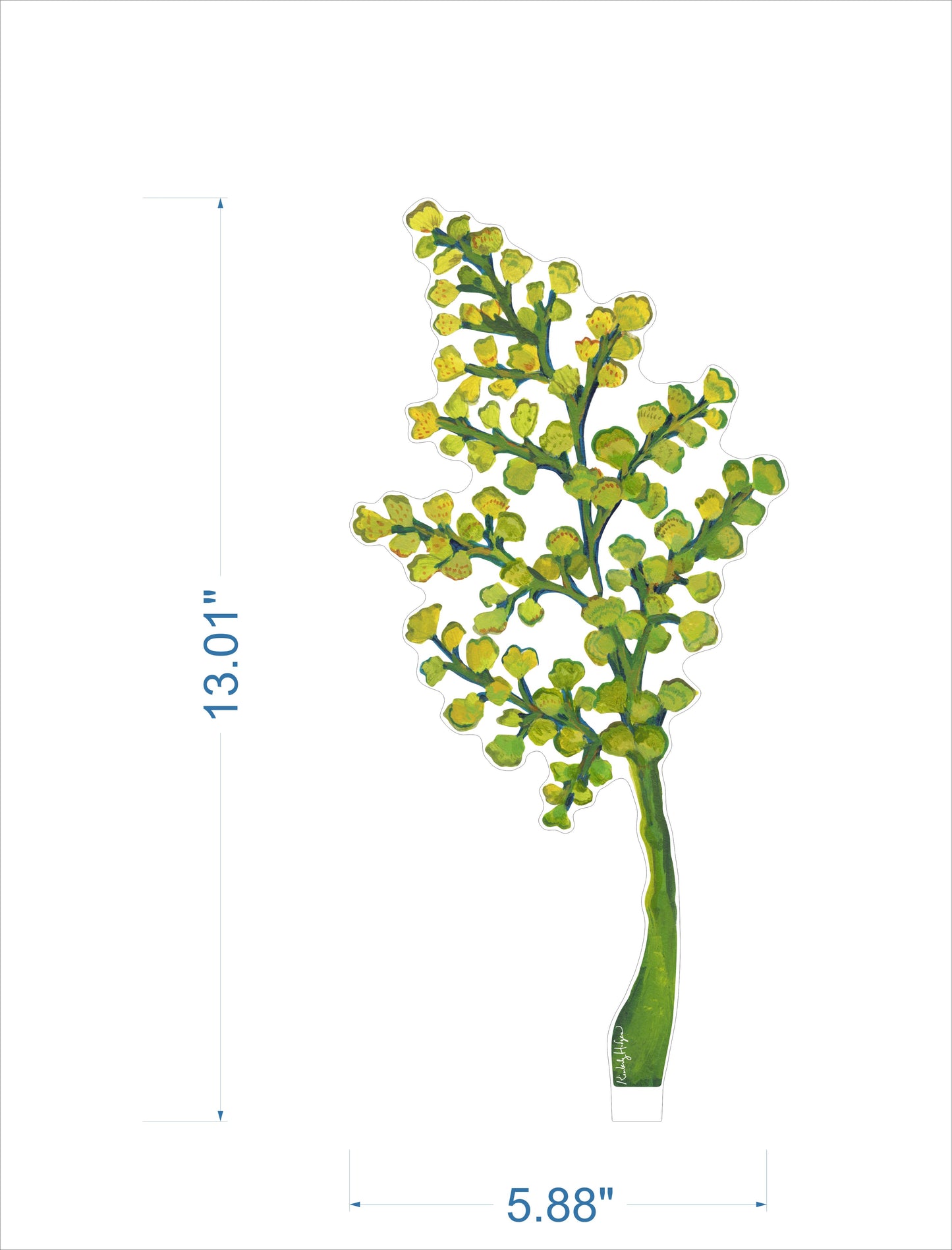 Maidenhair Fern | 0.25in. Acrylic Floral