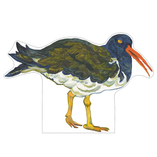 Oyster Catcher Bird | 0.75in. Acrylic Cutout | Single