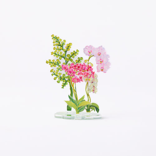Orchids & Fern Petit Bouquet Collection 7