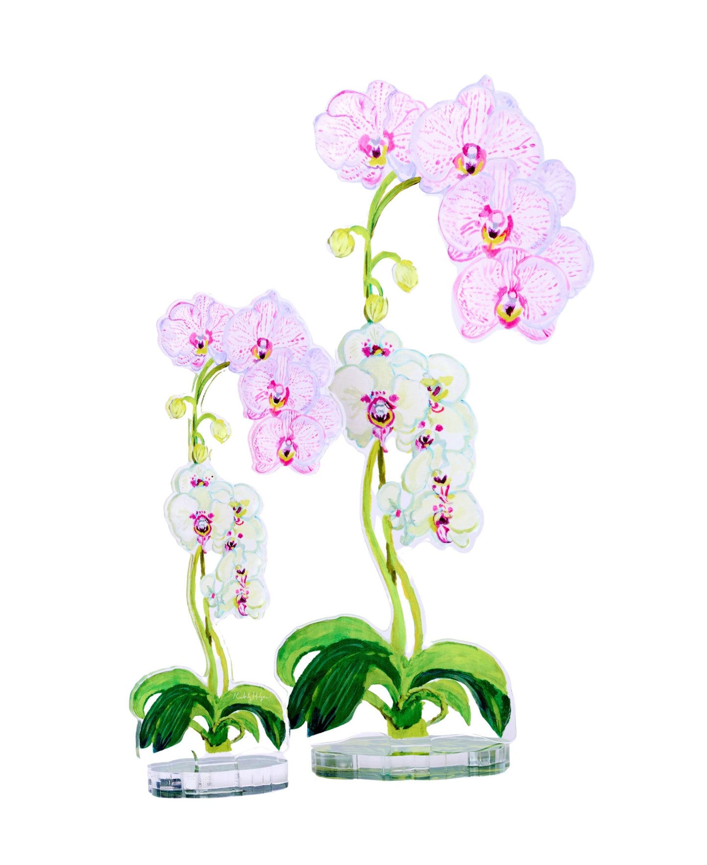 Pink Stripe Orchid | 0.25in. Acrylic Floral