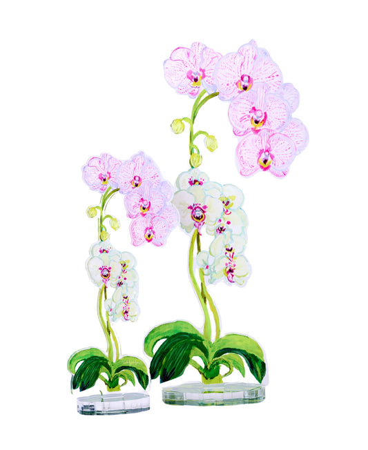 Pink Stripe Orchid | 0.25in. Acrylic Floral