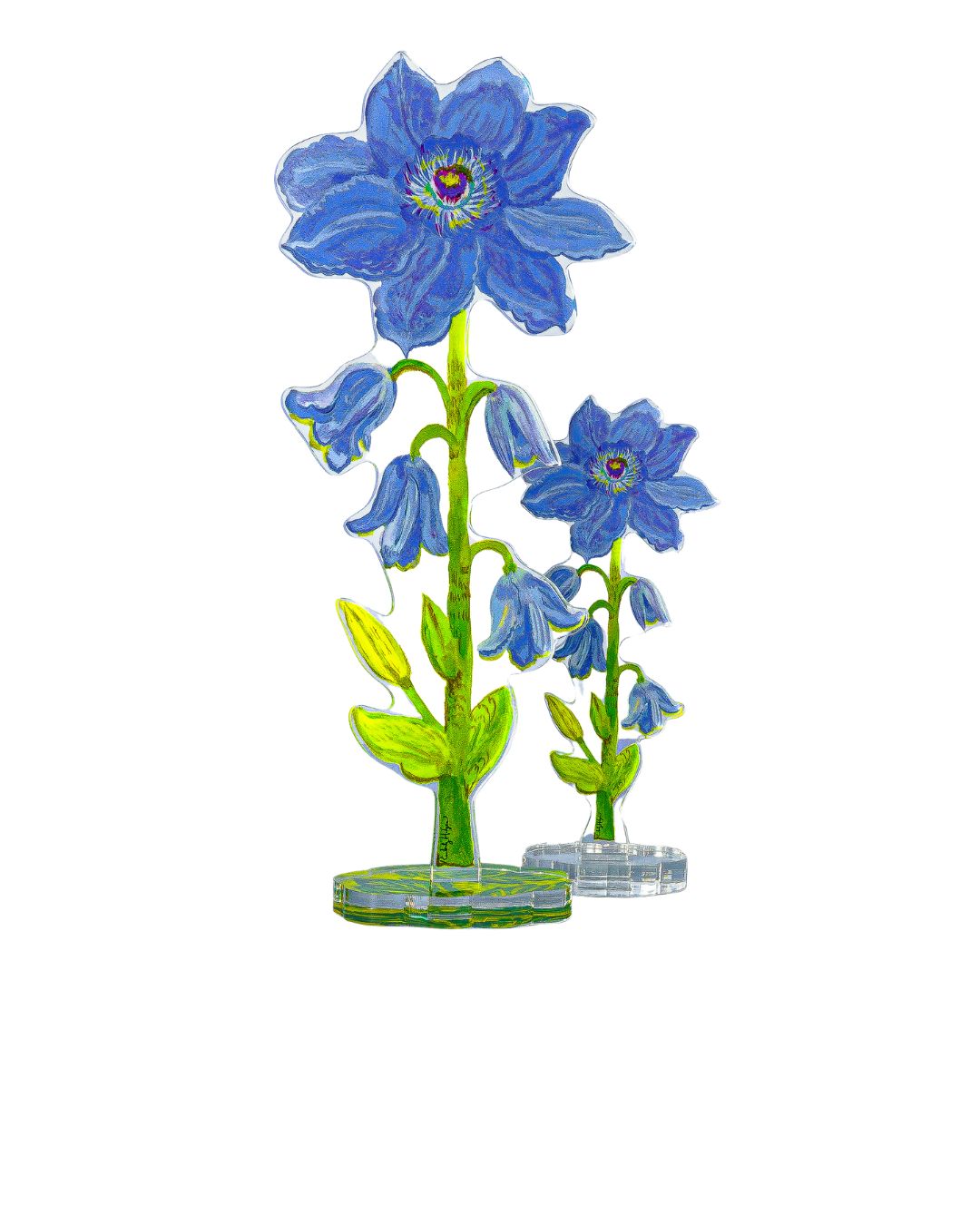 Purple Clematis | 0.25in. Acrylic Floral